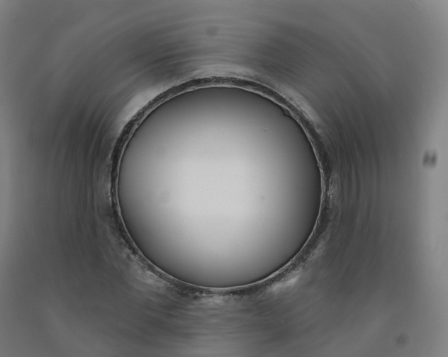 X0000091990877200709271445