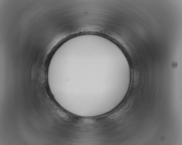 X0000091990878200709271445