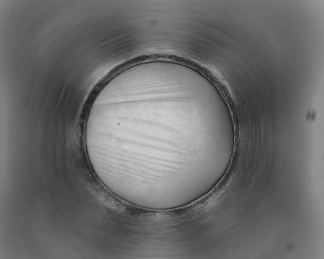 X0000091990879200709271445