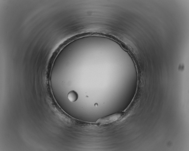 X0000091990880200709271445