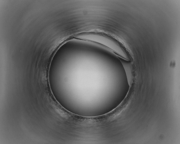 X0000091990881200709271445