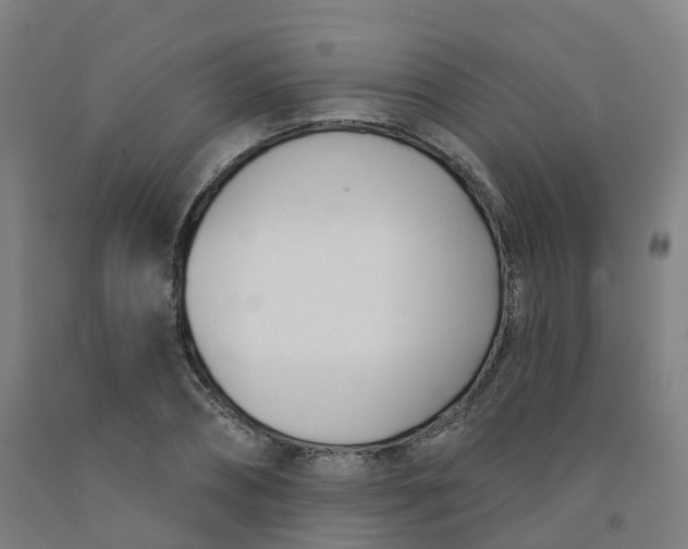 X0000091990882200709271445