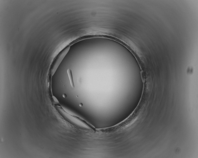 X0000091990885200709271445