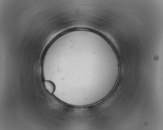 X0000091990887200709271445