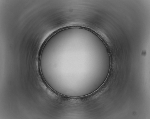 X0000091990888200709271445