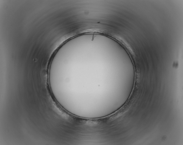 X0000091990890200709271445