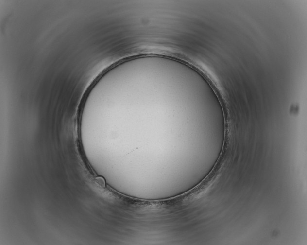 X0000091990891200709271445