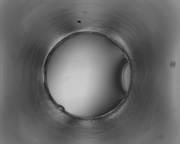 X0000091990892200709271445