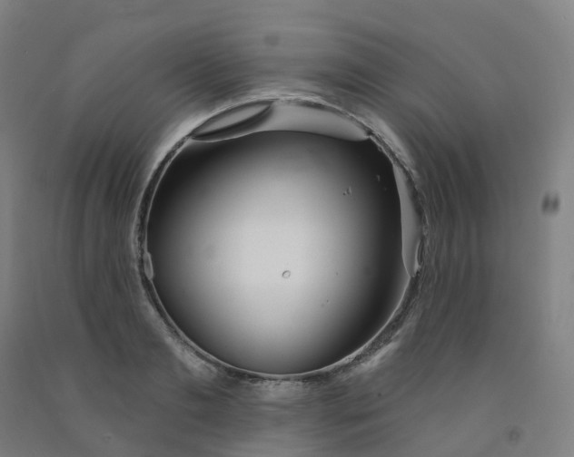 X0000091990893200709271445