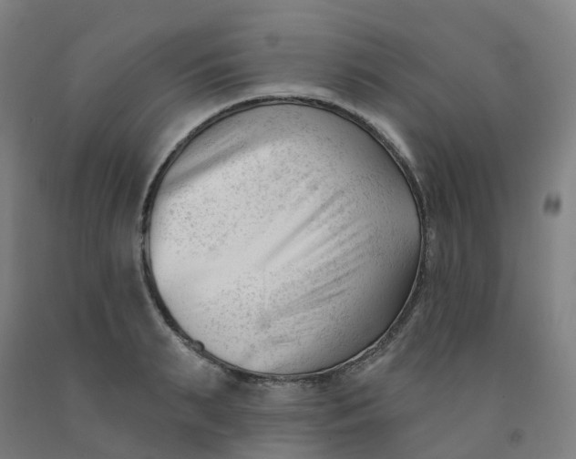 X0000091990895200709271445