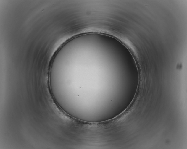 X0000091990896200709271445