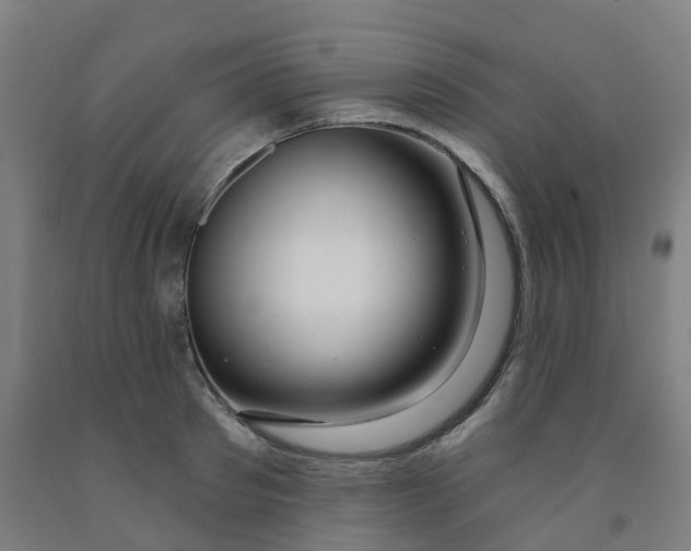 X0000091990897200709271445