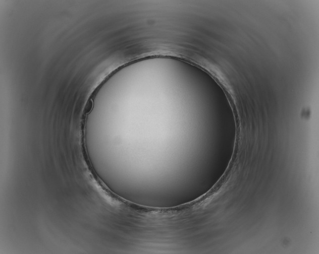 X0000091990898200709271445