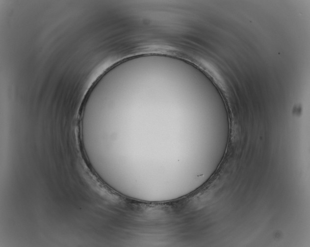 X0000091990899200709271445