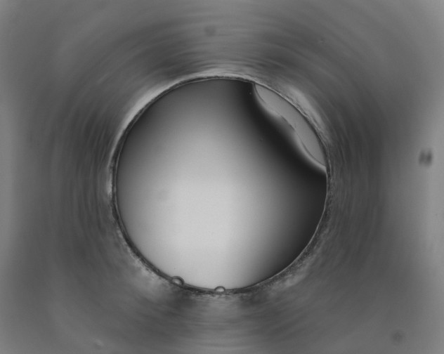 X0000091990900200709271445