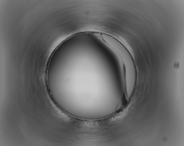 X0000091990901200709271445