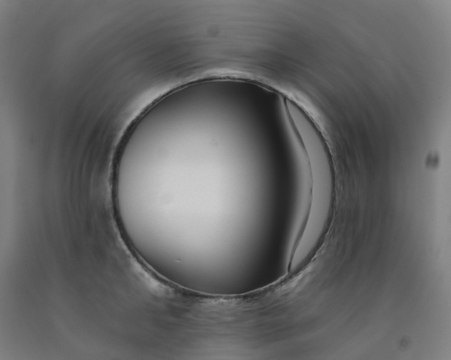 X0000091990902200709271445