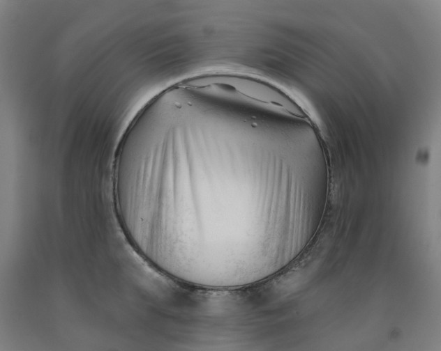 X0000091990903200709271445