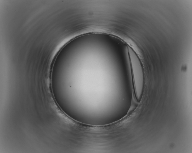 X0000091990904200709271445