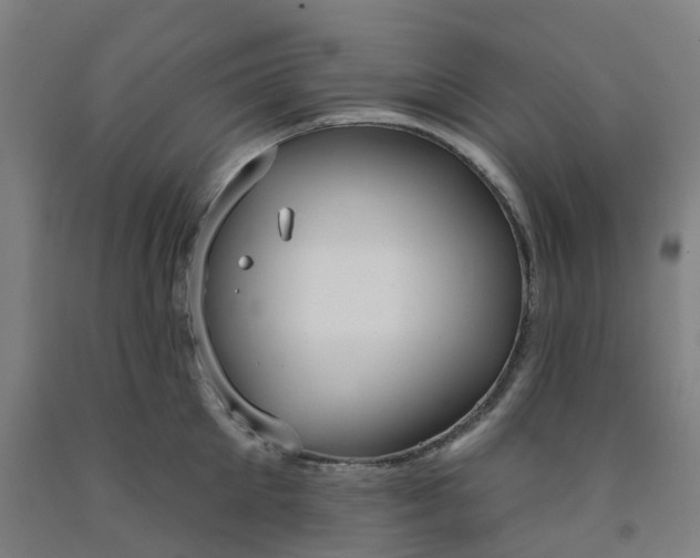 X0000091990905200709271445