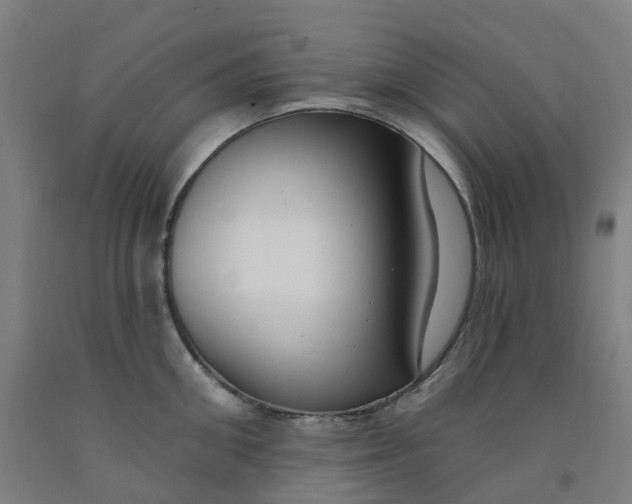 X0000091990906200709271445