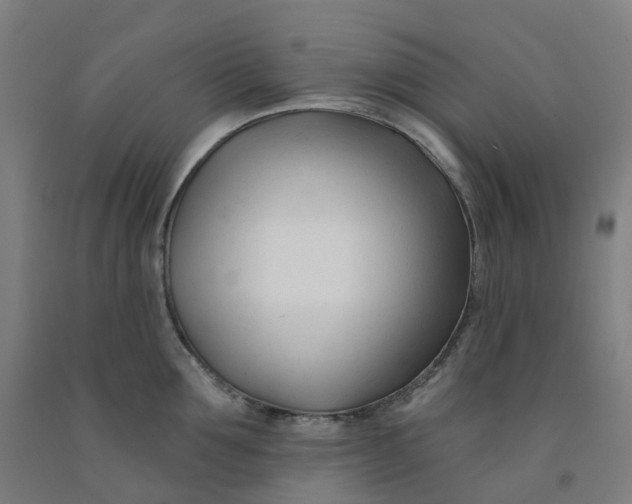 X0000091990907200709271445