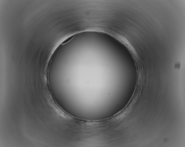 X0000091990908200709271445