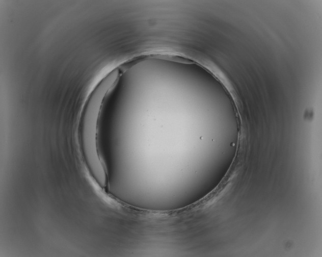 X0000091990909200709271445