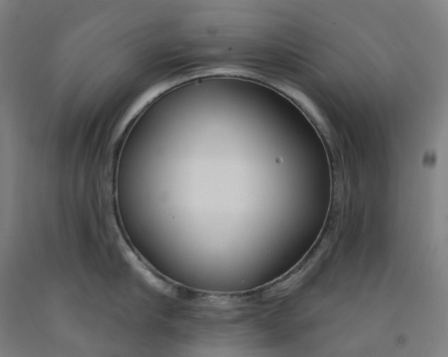 X0000091990910200709271445