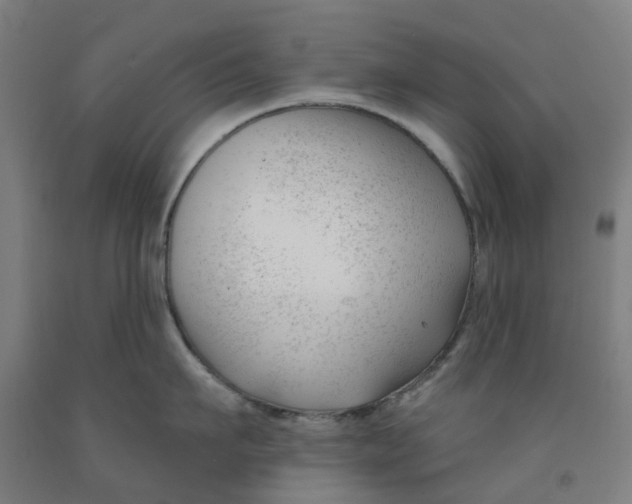 X0000091990911200709271445