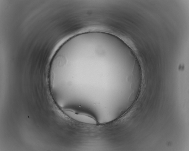 X0000091990912200709271445