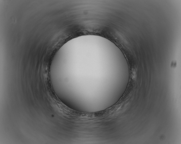 X0000091990915200709271444