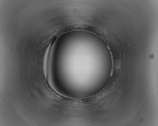 X0000091990916200709271444