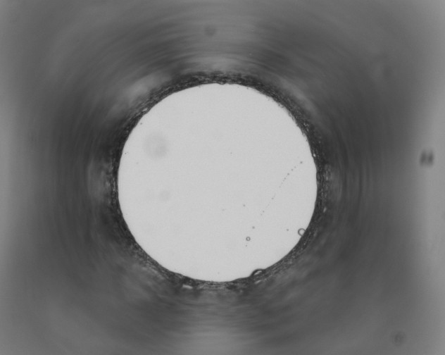 X0000091990918200709271444