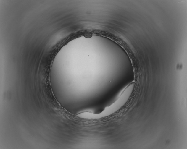 X0000091990919200709271444