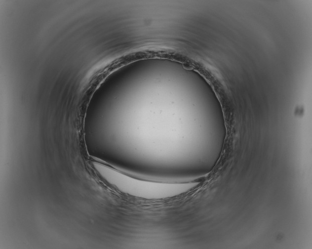 X0000091990920200709271444