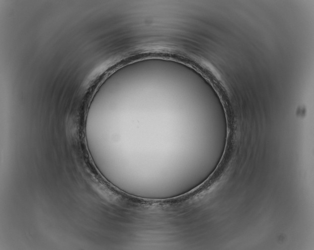 X0000091990922200709271444