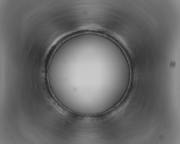 X0000091990923200709271444