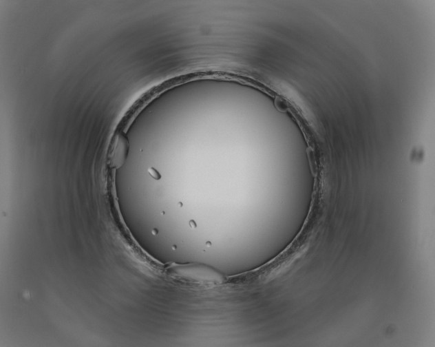 X0000091990924200709271444