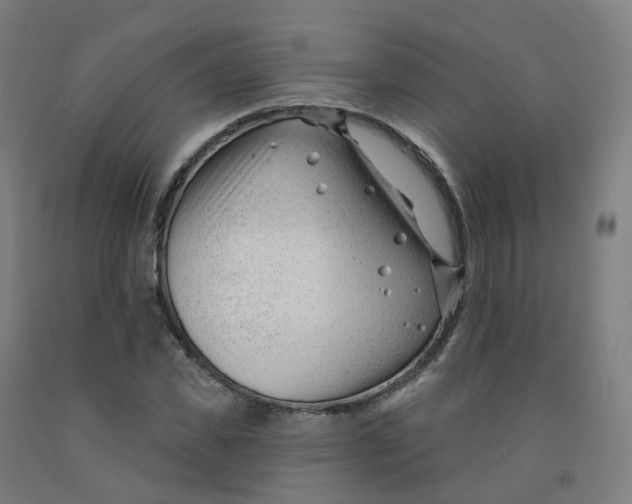 X0000091990925200709271444