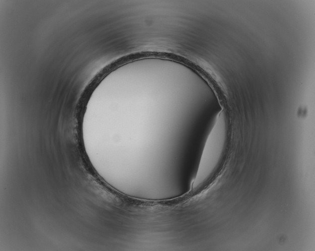 X0000091990926200709271444