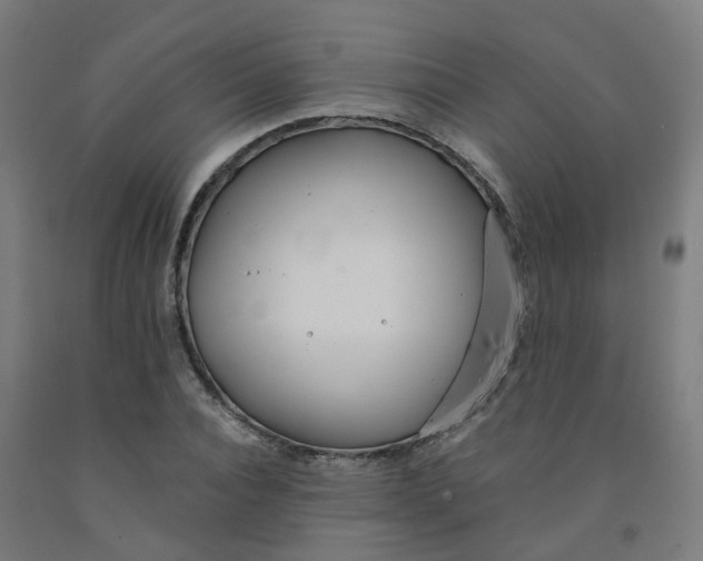 X0000091990928200709271444