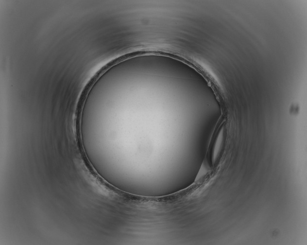 X0000091990932200709271444