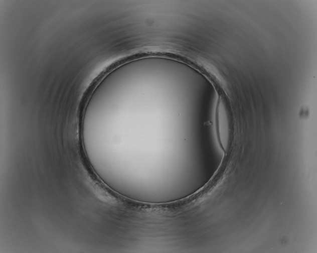 X0000091990934200709271445