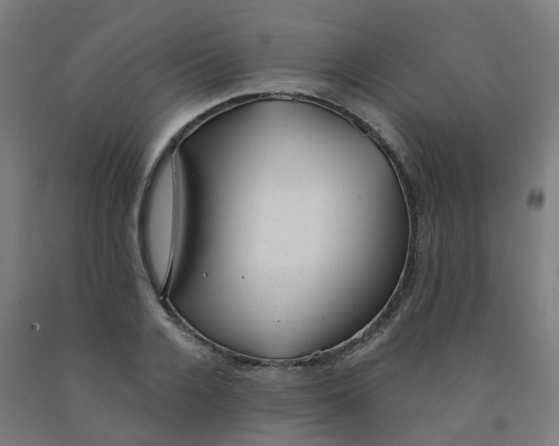 X0000091990936200709271445