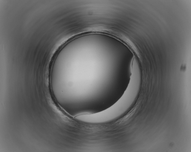 X0000091990939200709271445