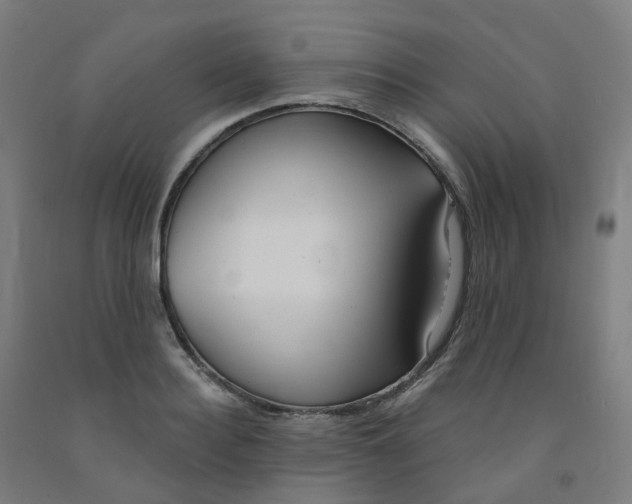 X0000091990940200709271445