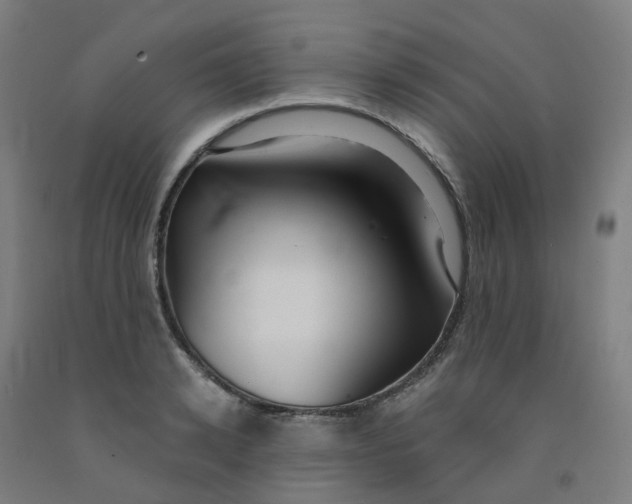 X0000091990942200709271445