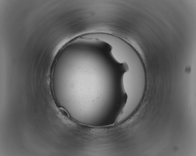 X0000091990944200709271445