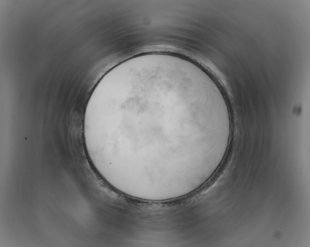 X0000091990945200709271445